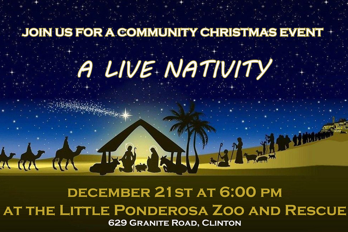A Live Nativity at the Little Ponderosa Zoo