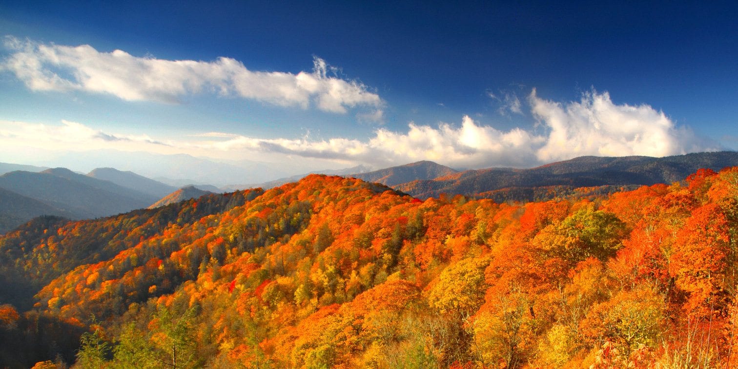 TOP 4 WAYS TO CELEBRATE FALL IN ANDERSON COUNTY TN