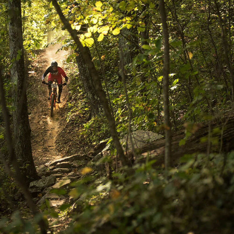 5 OF THE BEST MOUNTAIN BIKE TRAILS IN ANDERSON COUNTY