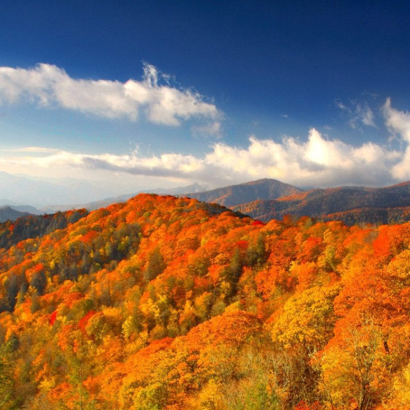 4 PLACES TO SEE THE FALL COLORS IN ANDERSON COUNTY