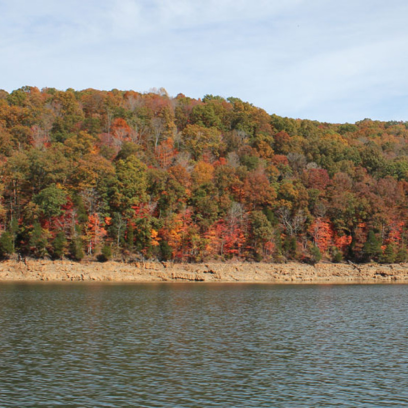 Fall Color Boat Trips