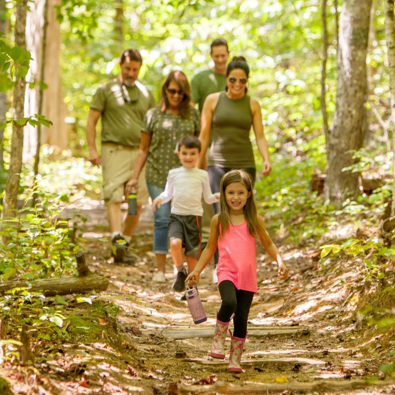 3 HIKING TRAILS AT NORRIS DAM STATE PARK FOR DIFFERENT SKILL LEVELS