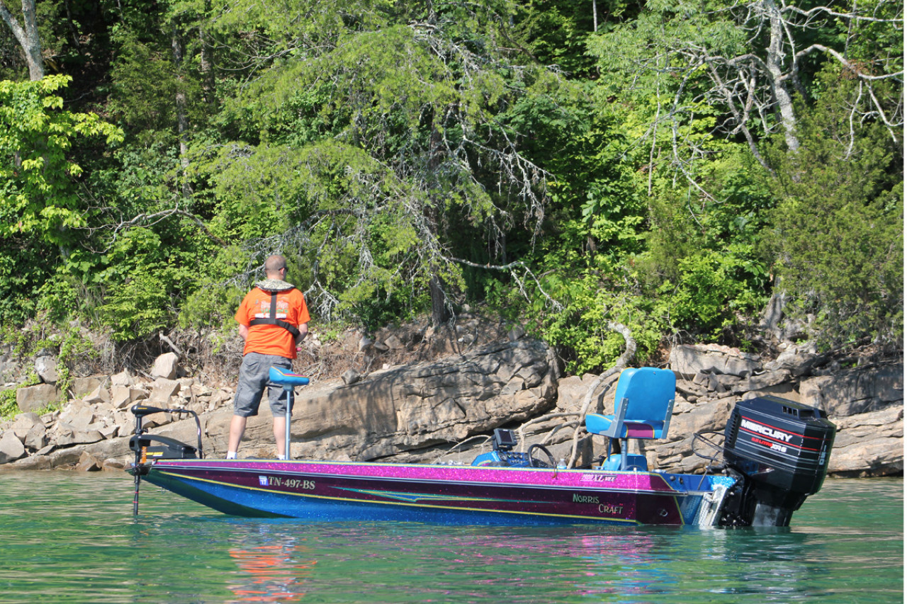 EVERYTHING YOU NEED TO KNOW ABOUT NORRIS LAKE BASS FISHING