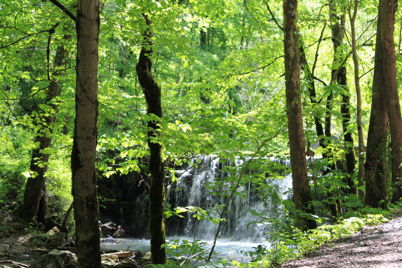 YOUR ULTIMATE GUIDE FOR HITTING THE TRAILS IN ANDERSON COUNTY TN