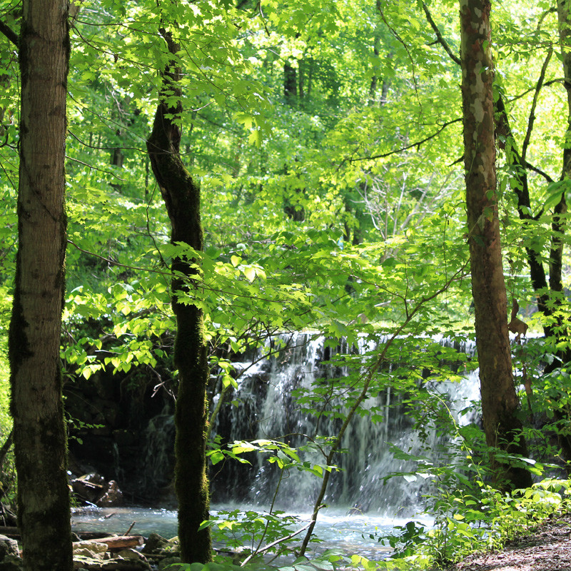 YOUR ULTIMATE GUIDE FOR HITTING THE TRAILS IN ANDERSON COUNTY TN