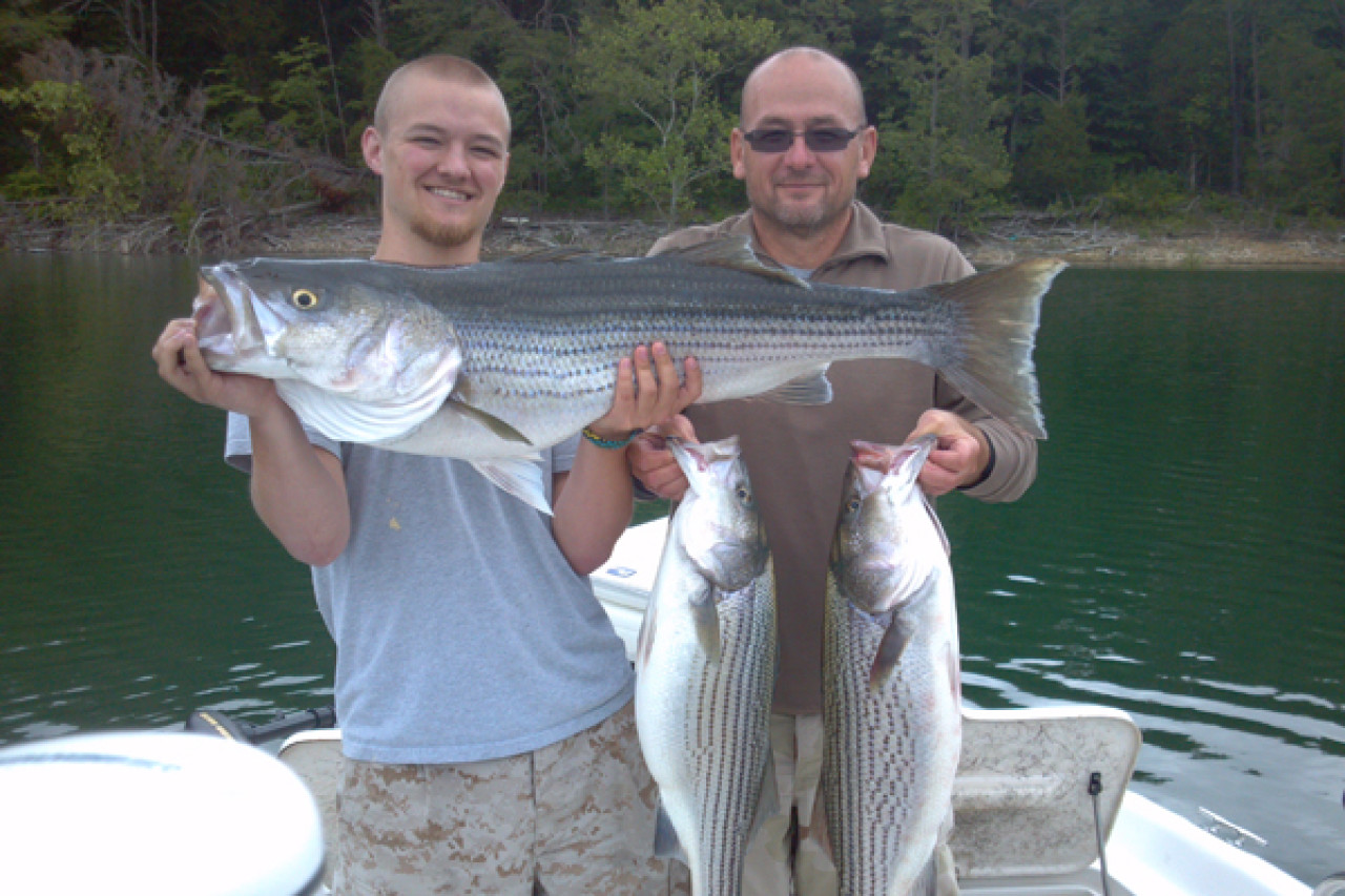 STRIPER FISHING ON NORRIS LAKE, Clinton, Norris, Oak Ridge, Visit  Anderson County TN