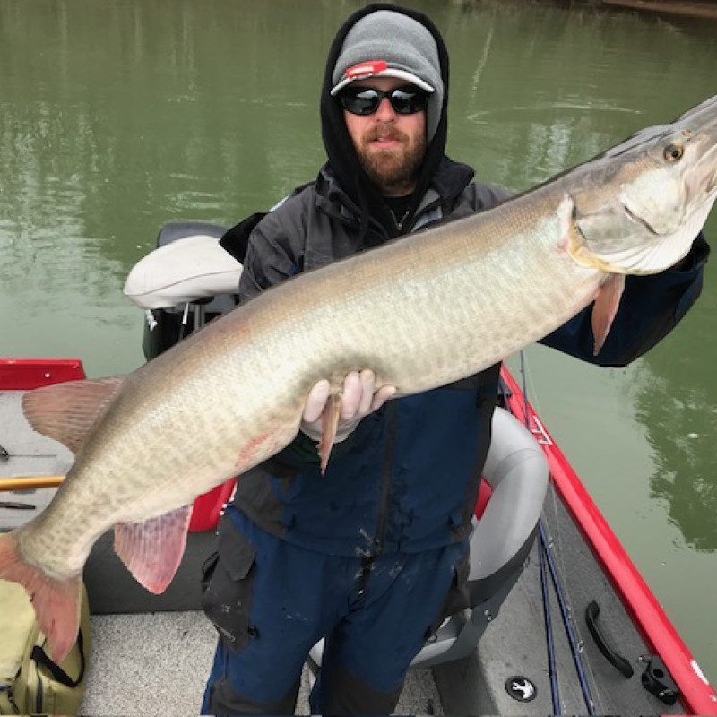 Anderson County: Tennessee’s Undisputed Musky Capital