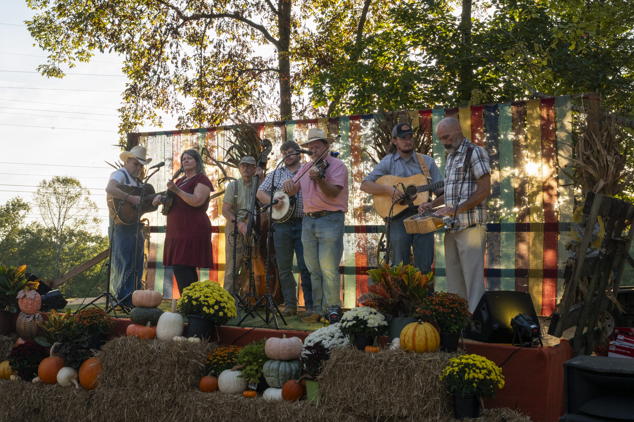 10/3/25 Picking in the park 2025