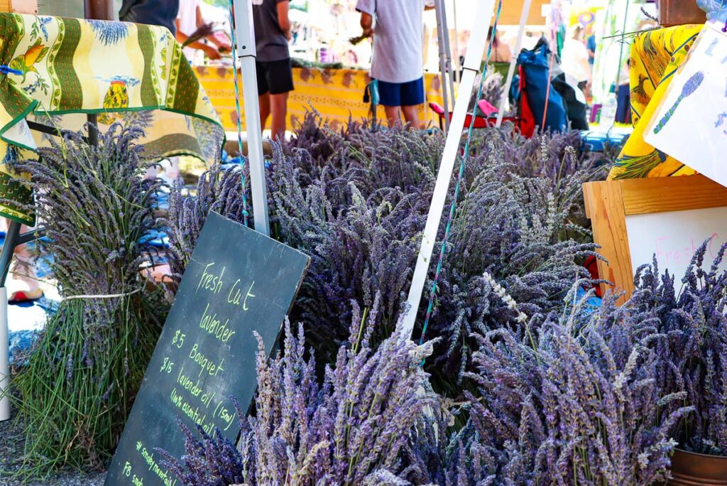Lavender Festival