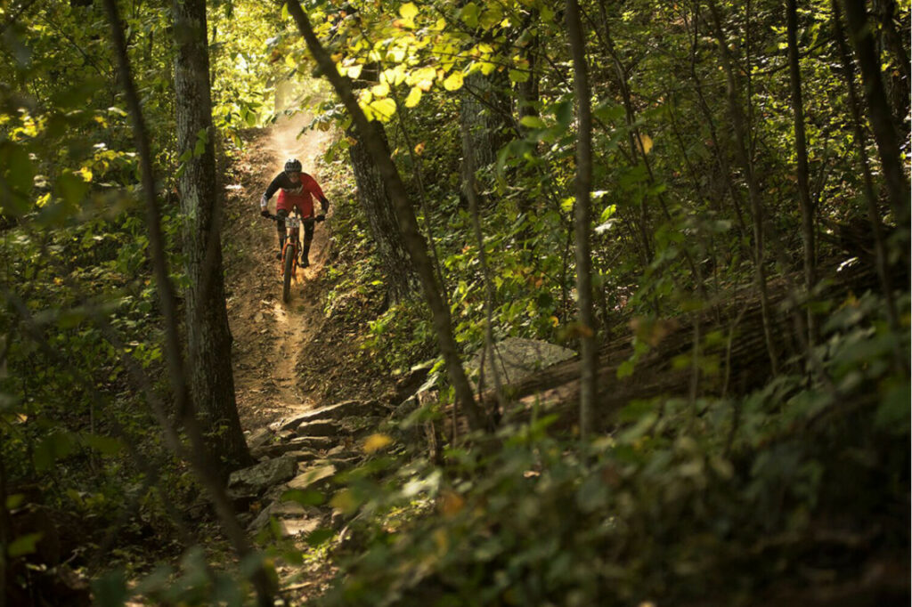 4 Reasons to Visit Windrock Bike Park - Adventure Anderson