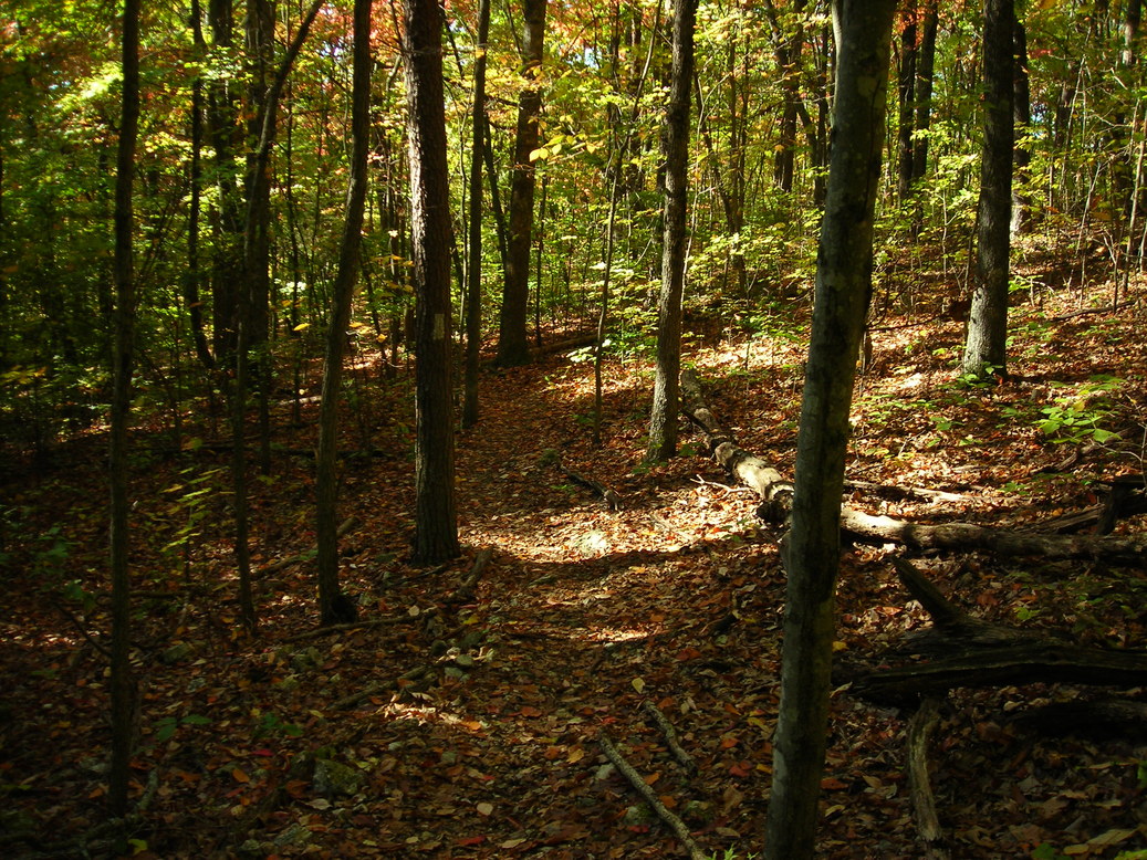 Oak Ridge Greenways North Boundary Trails - Adventure Anderson