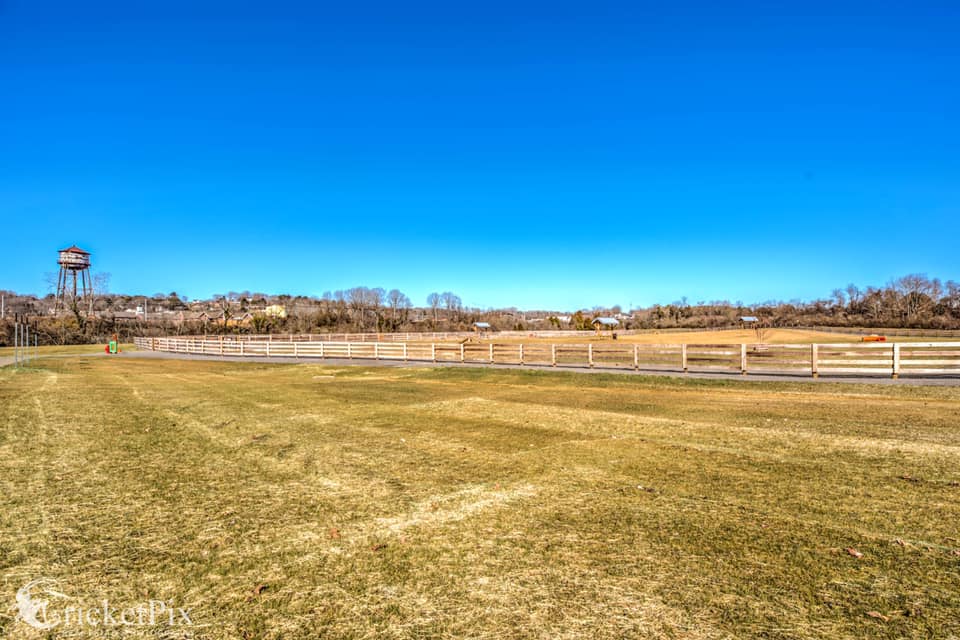 Carden Farm Dog Park