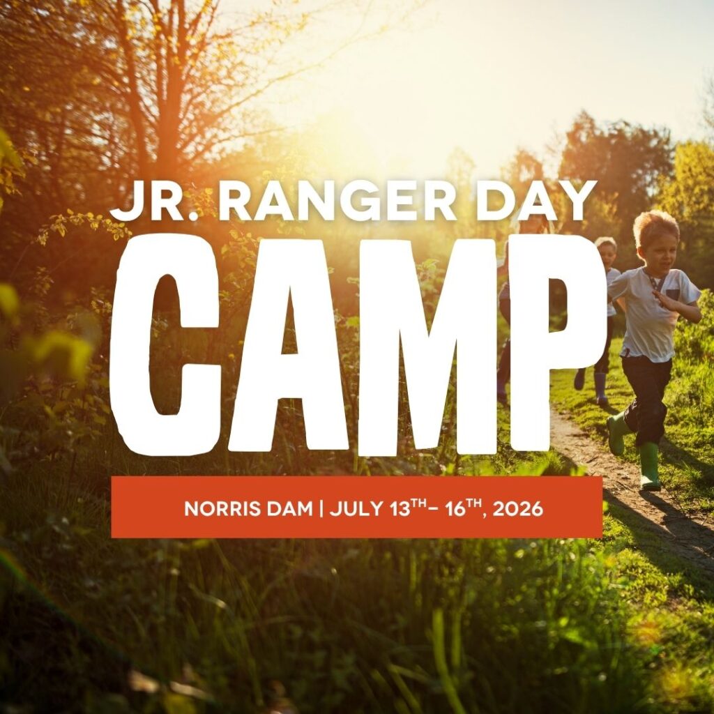 Junior Ranger Camp
