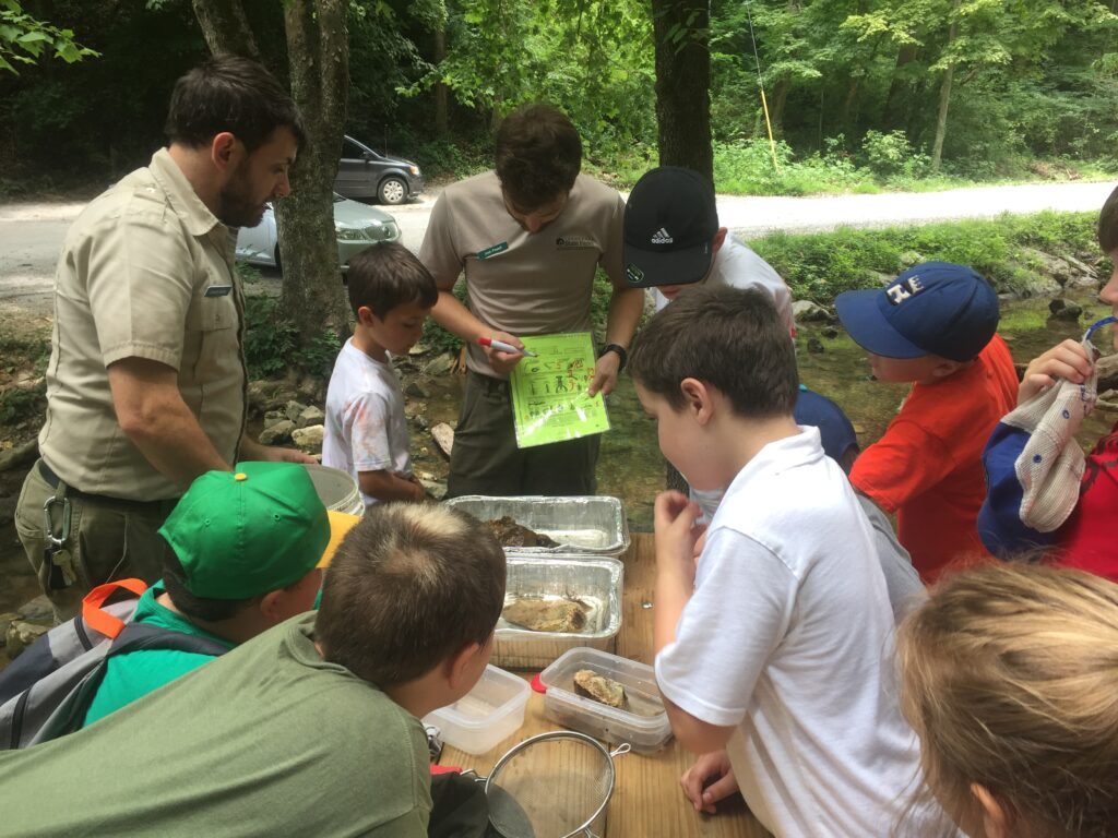 Junior Ranger Camp