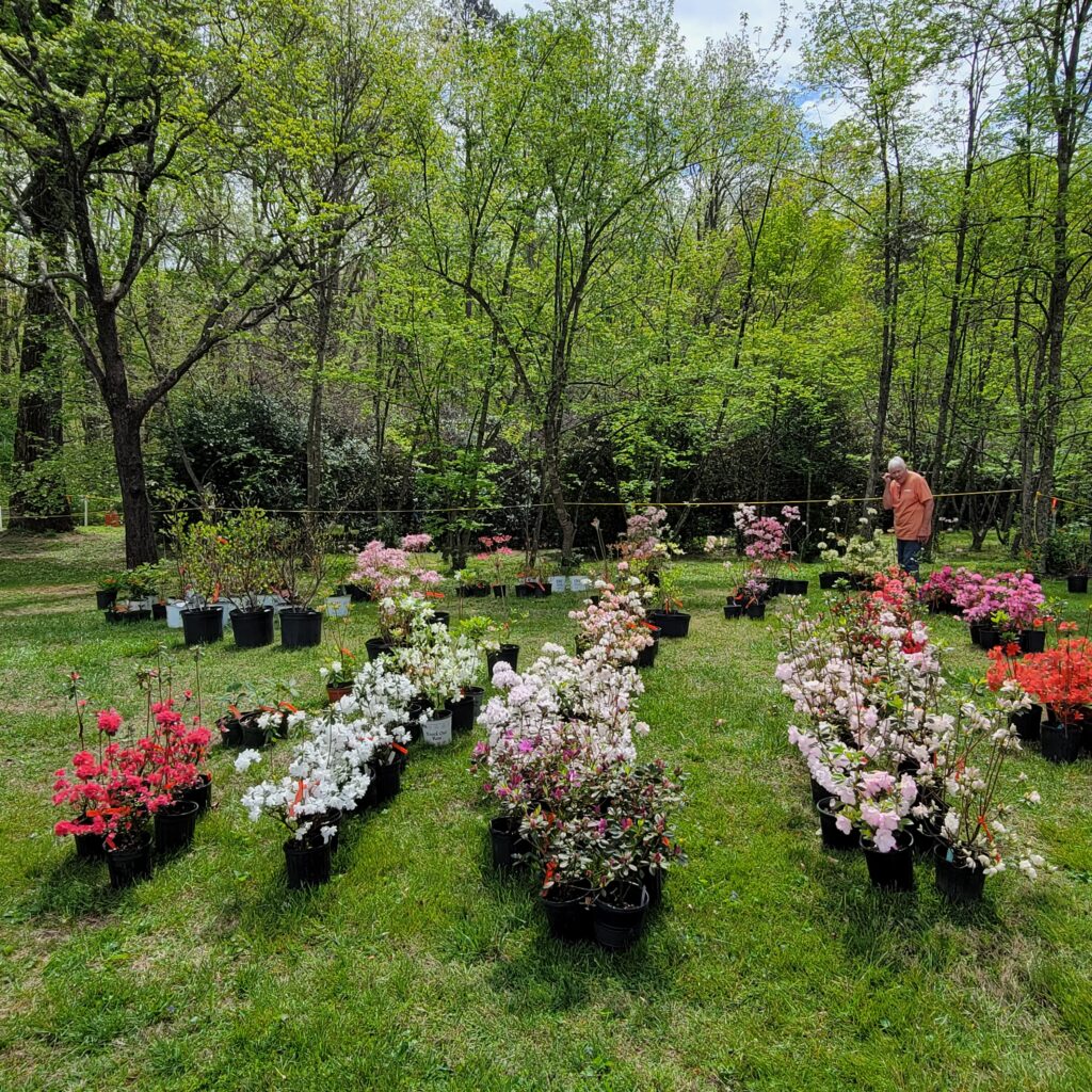 UT Arboretum Society Spring Plant Sale